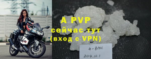 винт Верея