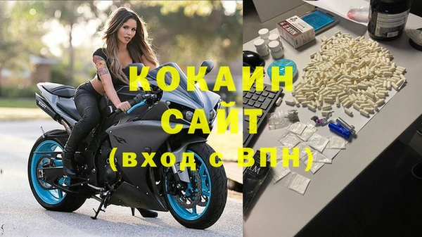 стаф Волоколамск