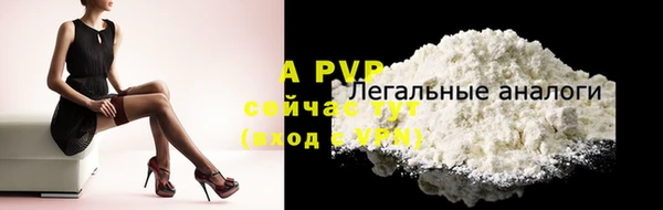 стаф Волоколамск