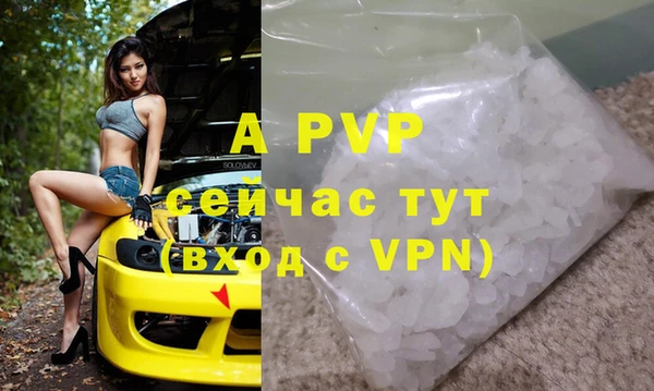 стаф Волоколамск