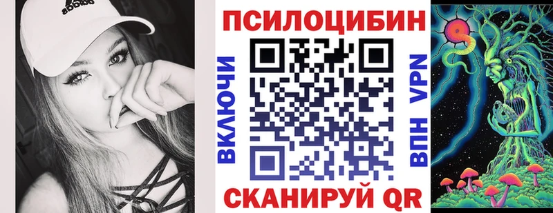 Псилоцибиновые грибы Cubensis  Всеволожск 